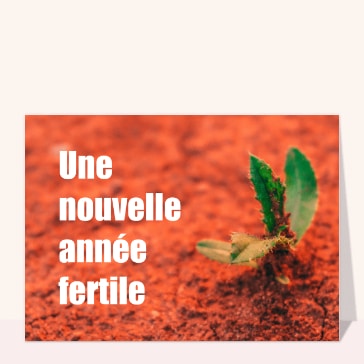 prevu-5980-nouvelle-anna-e-fertile_small